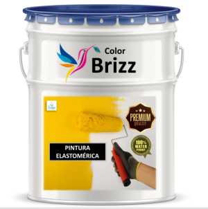 Pintura elastomérica