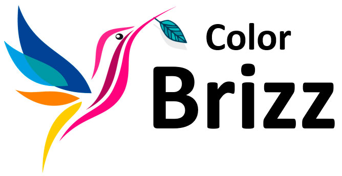 Color Brizz